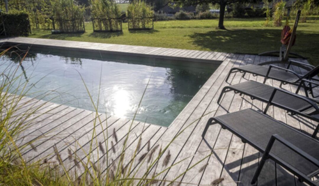 The benefits of the Vitii natural pool
