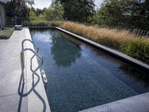 Piscine naturelle filtration écologique Vitii 1