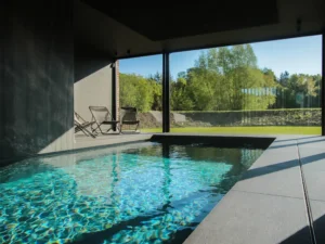 Piscine naturelle filtration écologique Vitii 12