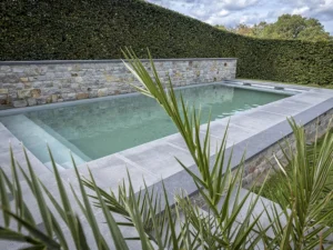Piscine naturelle filtration écologique Vitii 8