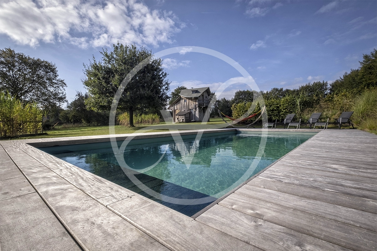 vitii Une nouvelle génération de piscine naturelle, saine pour le corps et biominérale 9